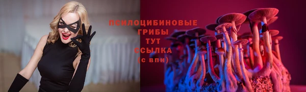 круглые Алексеевка