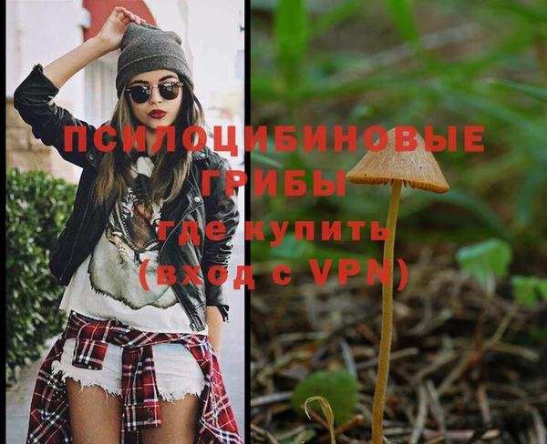 круглые Алексеевка