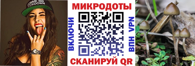 Галлюциногенные грибы Cubensis сайты даркнета клад Менделеевск